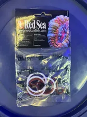 2024年最新】redsea reeferの人気アイテム - メルカリ