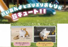 アニマルアトラクション こぎさんぽ  2種×3　　６個セット