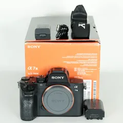【超美品】SONY α7III ILCE-7M3 ボディ おまけ多数有！ SONY - 【美品】SONY α7III ボディ ILCE-7M3 付属品有り 箱有り