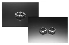 ダイエットTERAイヤリング＆リング