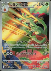 2025年最新】カミツオロチ arの人気アイテム - メルカリ