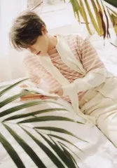 【中古】キャラカード ディノ(SEVENTEEN) ミニカード 「CD Your Choice BESIDE Ver.」 封入特典