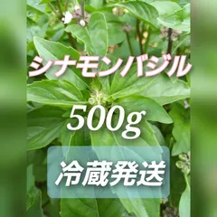 【冷蔵発送】シナモンバジル☆500g