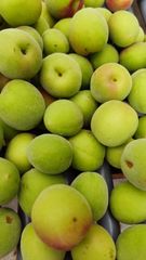 農家直送　紀州南高梅　青梅　訳あり品　雹害　キズあり　約10キロ（箱込み）