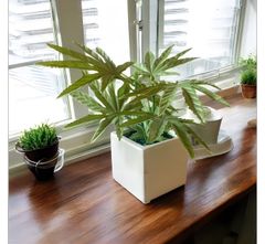 光触媒　フェイクグリーン　マリファナ　人工観葉植物　大麻　草　CBD 2020