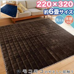 ラグ カーペット 220×320 約 6帖 6畳 洗える フランネル 綿入り ラグマット おしゃれ 無地 シンプル オールシーズン ホットカーペット 床暖房 対応 ウォッシャブル