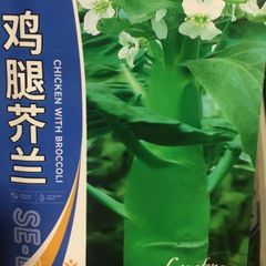 中国野菜の種　鸡腿芥兰　鸡腿芥蓝　カイラン　50粒