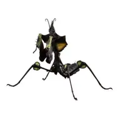 【中古】トレーディングフィギュア ニセハナマオウカマキリ 1齢幼虫(黒) 「いきもの大図鑑アドバンス ニセハナマオウカマキリ」