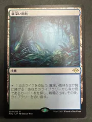 2025年最新】霧深い雨林の人気アイテム - メルカリ