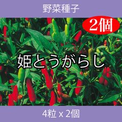 野菜種子 ECD 姫とうがらし 4粒 x 2個