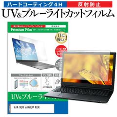 AYA NEO AYANEO KUN [8.4インチ] 保護 フィルム カバー シート ブルーライトカット 反射防止 指紋防止 液晶保護フィルム メール便送料無料