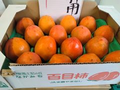 吊るし柿用渋柿【福島県産】
