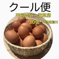 平飼い卵