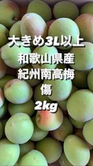和歌山県産 紀州南高梅 訳あり L〜3L 箱込み約2kg以上 - メルカリ