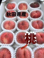秋田県産　桃　約2.5キロ　15玉　クール発送