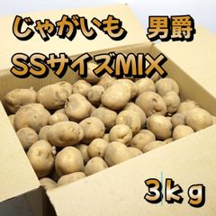 A-STYLE 自家栽培 じゃがいも 男爵芋 SSサイズMIX3ｋｇ「ショップアカウントではゆうゆうメルカリ便で送れないため沖縄への発送は出来かねます、個人アカウントよりご購入頂けましたら発送可能ですので出品いたしましたらそちらよりよろしくお願いいたします。」