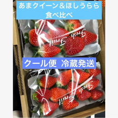 いちご 苺 イチゴ 食べ比べ あまクイーン ほしうらら クール便