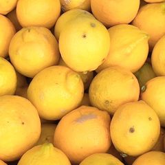 愛媛県産 特大 レモン20kg - メルカリ