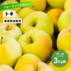フルーティーな香りと沢山の果汁 9月収穫 幻のリンゴ 「トキ3キロ箱A品B品」長野県産 安曇野 信州産 幻