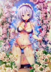 【中古】ポスター B3お風呂ポスター 姫路白雪 「ライトノベル ライアー・ライアー 嘘つき転校生はイカサマチートちゃんとゲームを制するそうです。 ゲーマーズ限定版」 同梱特典特典