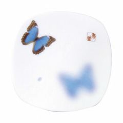 Item thumbnail for item 565e50a4-0a69-469d-ae22-a0c0b4f8b571