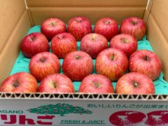 信州産「赤田の家」サンふじ　16個入り5k箱
