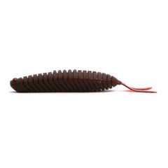 新品 10 TEN-FEET テンフィートアンダー イェーガー 雷魚 10 TEN-FEET UNDER/10テンフィートアンダー イェーガー