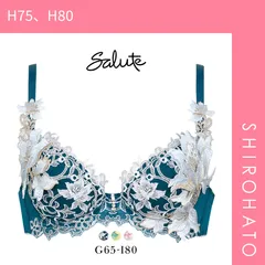 最終値下げ◇Wacoal◇ サルート Salute ブラ　H80 2025年最新】サルート h80の人気アイテム - メルカリ