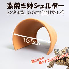 【素焼き鉢 シェルター トンネル型 15.5cm】爬虫類　両生類　 熱帯魚　トカゲ　カメ　ザリガニ　カエル　ヘビ　昆虫　ウーパールーパー　アクアリウム　テラリウム　テラコッタ　陶器　植木鉢　リクガメ　フトアゴ