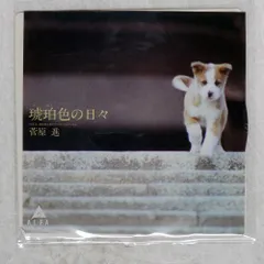 菅原進 関連　ビリー・バンバン「横浜に鐘が鳴る」シングルEP　※ レンタル落ち ビリーバンバン Billy BanBan 横浜に鐘が鳴る 和モノ AOR EP