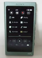 2024年最新】sony nw-a45 グリーンの人気アイテム - メルカリ