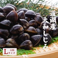 宍道湖産 大和しじみ Lサイズ 約1kg しじみ 殻付き 砂抜き済み 下処理不要 島根県産 国産 貝 ヤマトシジミ 冷凍しじみ 出汁 味噌汁 しじみ汁 蜆 シジミ クラムチャウダー 炊き込みご飯 お吸い物 冷凍 食品