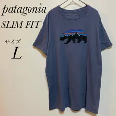 パタゴニア　patagonia SLIM FIT サイズ L 半袖Tシャツ