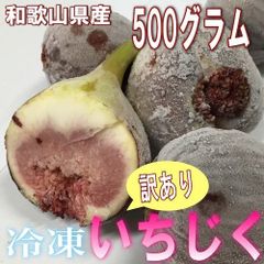 冷凍いちじく 和歌山県産 訳あり 冷凍いちじく 500g