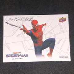 Spider-Man / スパイダーマン Marvel Studios' Spider-Man No Way Home UD Canvas #C-10