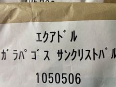 生豆200g 希少　エクアドル　ガラパゴス　サンクリストバル