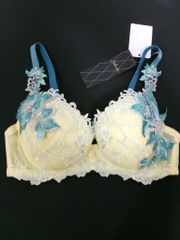 【新品】Ｗacoal Salute　ワコールサルート　ブラジャー　黄色系　送料込み　E75　967042