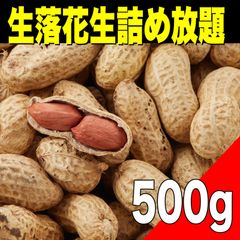 【残りわずか】北海道鵡川町産 生落花生 詰め放題500g    野菜　豆　食品【北海道ちとせ空マチ！】