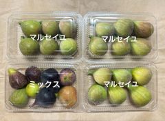 西洋いちじく　クール便