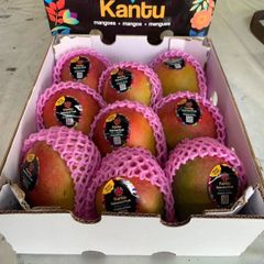 「既入荷,12月2日から出荷」ペルー産 ケントマンゴー” 大玉9玉 約4kg 航空便