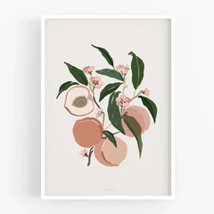 MICUSH | HARVEST - PEACHES | アートプリント/ポスター (30x40cm) 北欧 インテリア おしゃれ