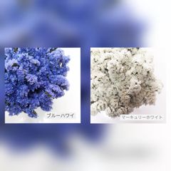 ❀yuki0802.mama様ご専用❀マーキュリーホワイト・ブルーハワイ