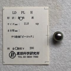 オーロラピーコック 黒蝶真珠 11.0mm-12.0mm ルース