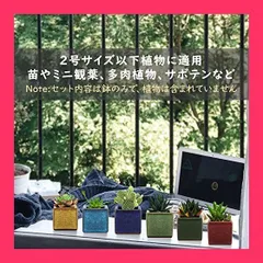 2025年最新】盆栽ソテツの人気アイテム - メルカリ