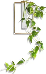 upFRAME 壁掛け 花瓶 フェイクグリーン 吊り下げ セット インテリアグリーン おしゃれ 試験管 一輪挿し(緑、ゴールド,  スクエア（植物つき）)