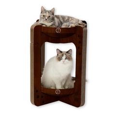 Item thumbnail for item 11f3bb4e-cc39-4a43-a9ba-bbd50854a15d