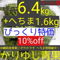 〈びっくり特価〉沖縄県産ミニゴーヤ約6.4kg+へちま約1.6kg各Ｂ品計約８kg【クール便】①