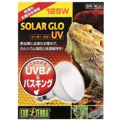 Item thumbnail for item eb21c4b4-bca8-4e65-83ca-937e7eaf7a6d