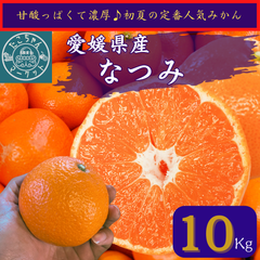 【おやつにムキムキ☆突っ込みかん】愛媛県産　味は濃厚★なつみ　カラマンダリン　10kg