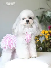 RIOSTUDIO 犬服 春夏 【日本初上陸】PEEKAPOODLE 一閲心田 デザイナーズ犬の服 ドッグウェア ペットウェア ストライプ柄【フリフリワンピース】【ピンク】